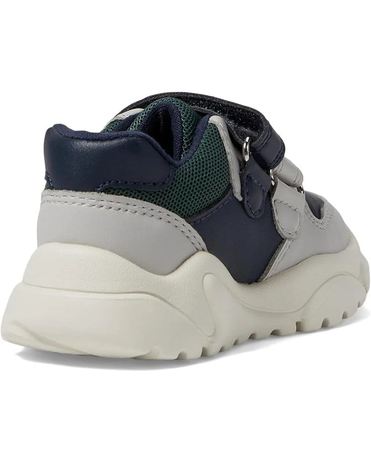 Geox Kids Ciufciuf 4 (Toddler) | Sneakers & Athletic Shoes 7 Geox Kids Ciufciuf 4 (Toddler) | Sneakers & Athletic Shoes - Image 5