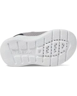 Geox Kids Sprintye 15 (Toddler) | Sneakers & Athletic Shoes -Geox & GUESS Shop 61y5nBLR9eL. AC SR736920