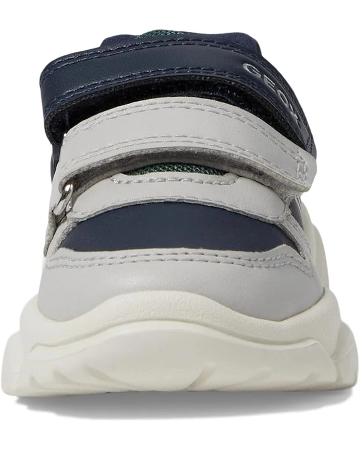 Geox Kids Ciufciuf 4 (Toddler) | Sneakers & Athletic Shoes 8 Geox Kids Ciufciuf 4 (Toddler) | Sneakers & Athletic Shoes - Image 6