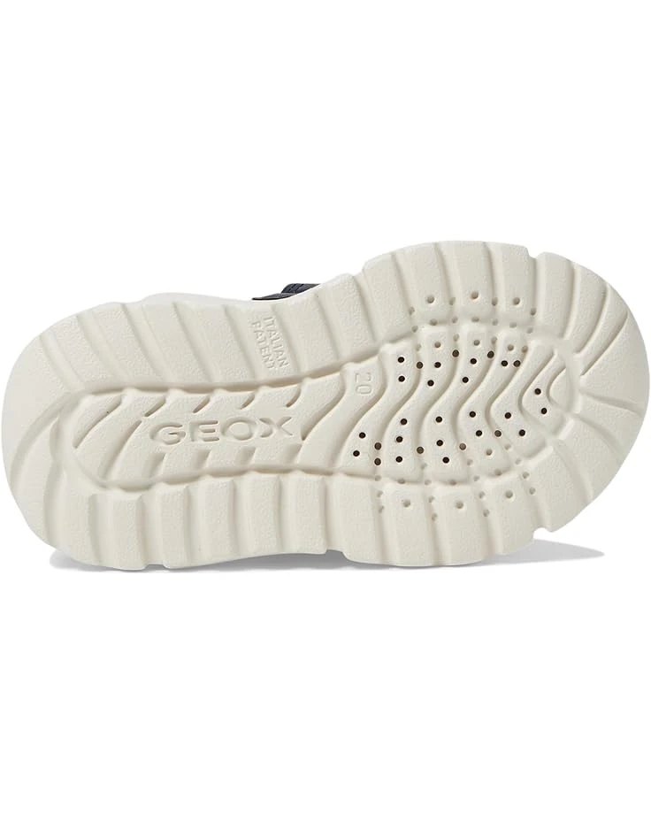 Geox Kids Ciufciuf 4 (Toddler) | Sneakers & Athletic Shoes 5 Geox Kids Ciufciuf 4 (Toddler) | Sneakers & Athletic Shoes - Image 3