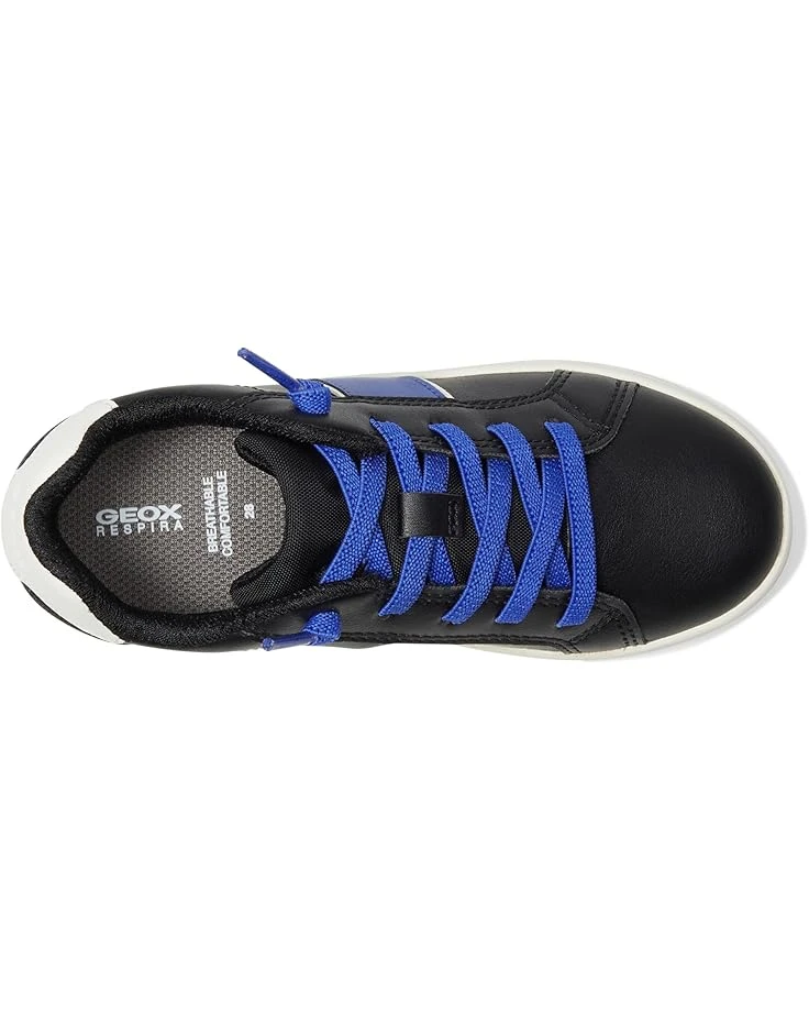 Geox Kids Eclyper 6 (Little Kid/Big Kid) | Sneakers & Athletic Shoes 4 Geox Kids Eclyper 6 (Little Kid/Big Kid) | Sneakers & Athletic Shoes - Image 2