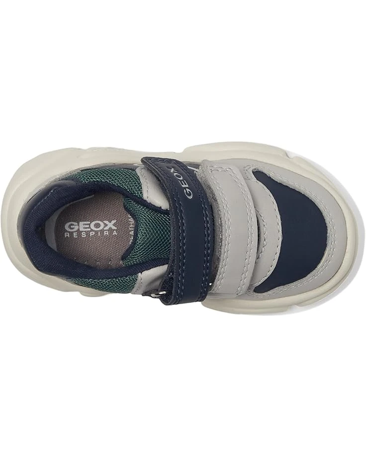 Geox Kids Ciufciuf 4 (Toddler) | Sneakers & Athletic Shoes 4 Geox Kids Ciufciuf 4 (Toddler) | Sneakers & Athletic Shoes - Image 2