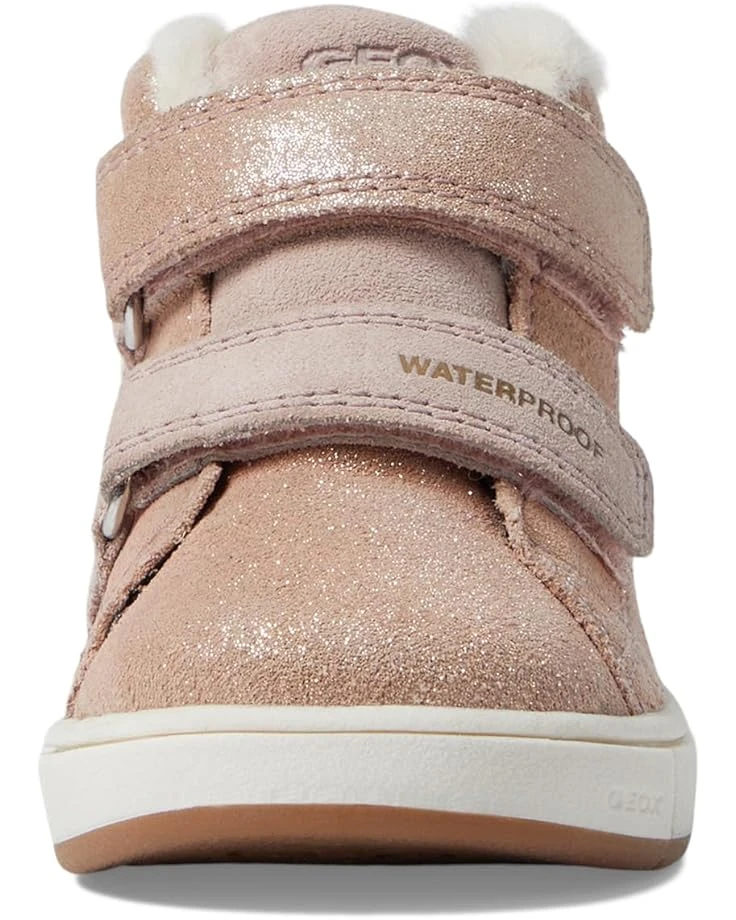 Geox Kids Trottola WPF 1 (Toddler) | Sneakers & Athletic Shoes 8 Geox Kids Trottola WPF 1 (Toddler) | Sneakers & Athletic Shoes - Image 6