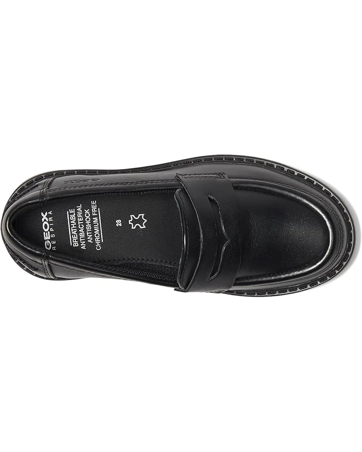 Geox Kids Casey 50 (Little Kid/Big Kid) | Loafers 4 Geox Kids Casey 50 (Little Kid/Big Kid) | Loafers - Image 2